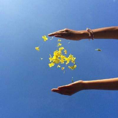 KOKapp下载手机版截图